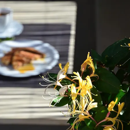 Guest house Vorina Ktismata