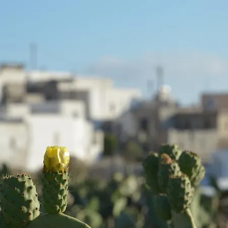 בית הארחה Vorina Ktismata 4*