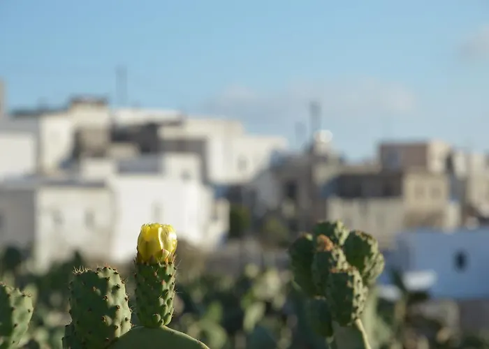 Pensión Vorina Ktismata 4*